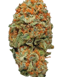 AK-47 strain